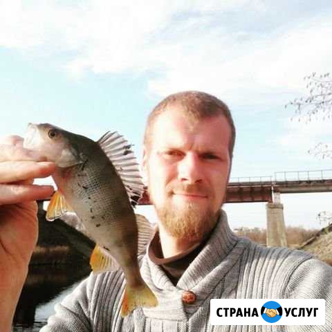 Электрик Суворов - изображение 1