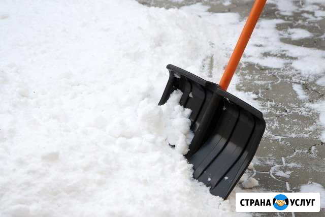 Дворники, разнорабочие, вывоз мусора Петрозаводск - изображение 1
