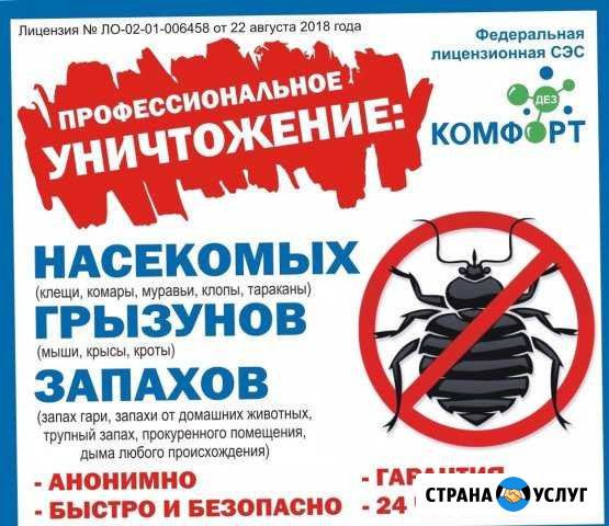 Услуги Норильск - изображение 1