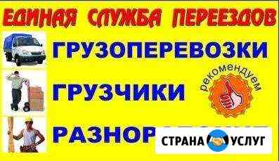 Перевозки Грузчики Выборг РФ Выборг