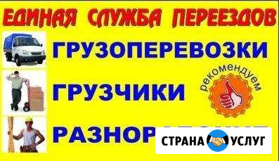 Перевозки Грузчики Выборг РФ Выборг - изображение 1