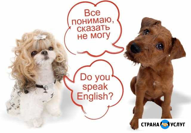 Репетитор по английскому языку г. Химки Химки - изображение 1
