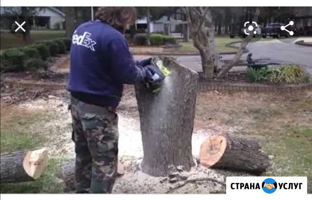 Спил деревьев Борисоглебск - изображение 1