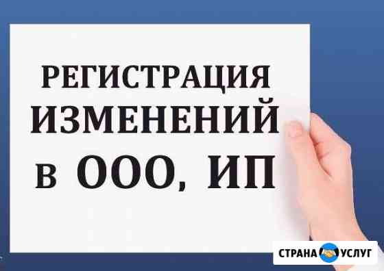 Внесем изменения в данные об ооо и ип под ключ Благовещенск