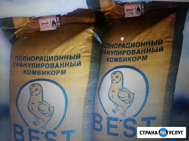 Доставка комбикорма бест, best Ново-Талицы - изображение 1