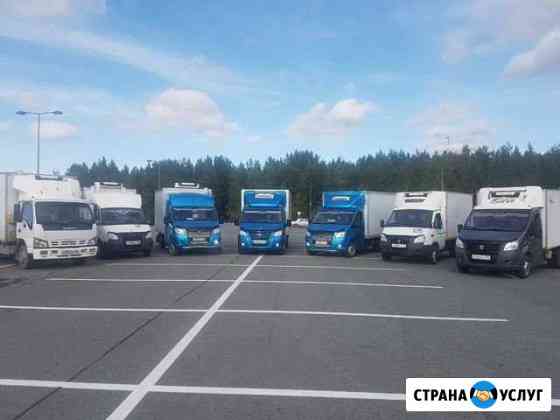 Транспортные услуги Сургут