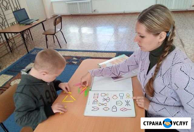Дефектолог Шудаяг - изображение 1