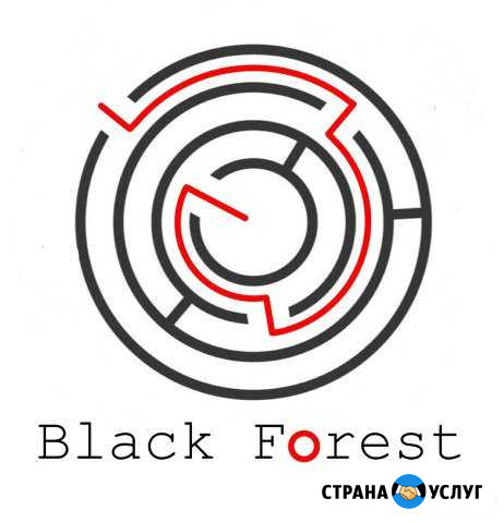 Детективное агентство, частный детектив Санкт-Петербург - изображение 1