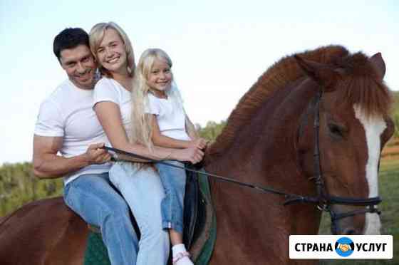 Покататься на лошадях в Тульской области Заокский