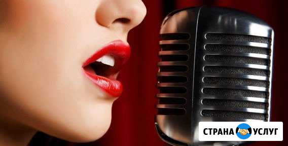 Живой вокал. Все стили Новоуральск - изображение 1