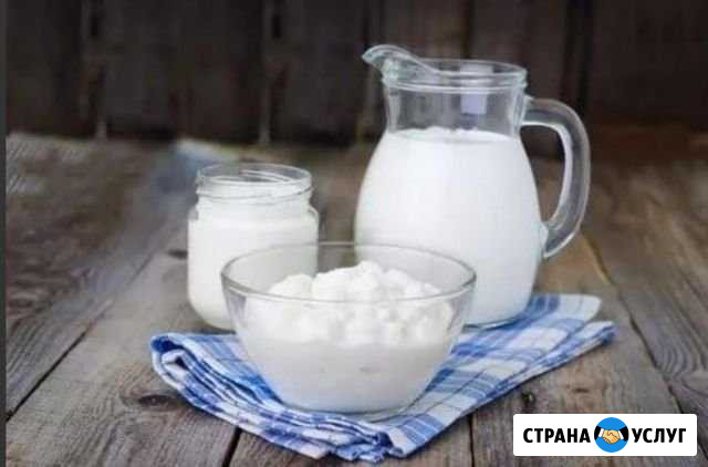 Молоко, сметана, творог на заказ Магнитогорск - изображение 1