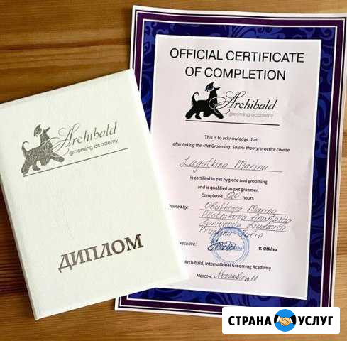 Стрижка собак/кошек/Северный район Орёл - изображение 1