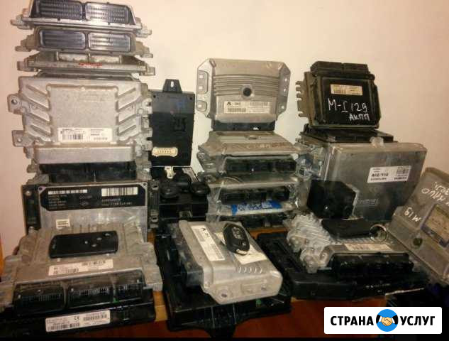 Ремонт блоков управления Рено Ниссан Инфинити Пежо Химки - изображение 1