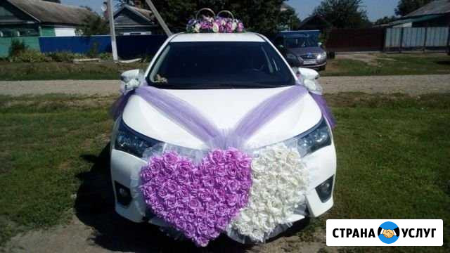 Аренда авто с водителем на свадьбу Каневская - изображение 1