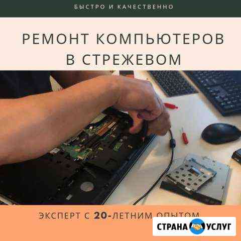 Трезвый компьютерный мастер Стрежевой