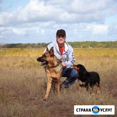 Помощь кинолога Самара - изображение 1
