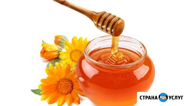 Мед Железногорск - изображение 1