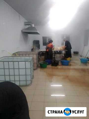 Оказываем услуги по Шипке кур бройлеров в любом ко Малка - изображение 1