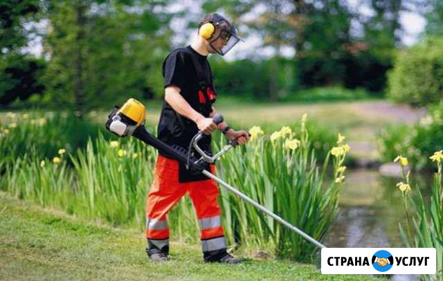 Скошу траву триммером Троицк - изображение 1