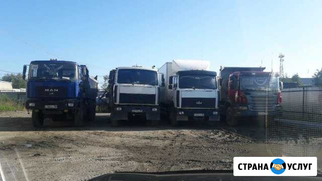Услуги:Амкадор, трал, самосвал, бульдозер, фискарс Нефтеюганск - изображение 1