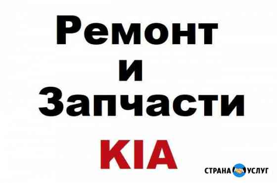 Катализатор киа автоэлектрик диагностика эбу евро2 Москва