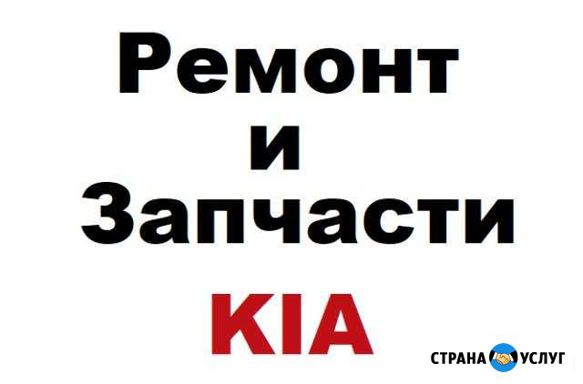 Катализатор киа автоэлектрик диагностика эбу евро2 Москва - изображение 1
