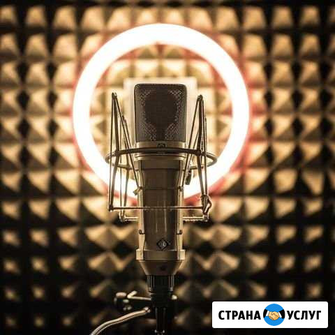 Запишу автоответчик и голосовое приветствие IVR Уфа - изображение 1