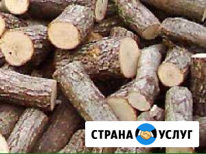 Дрова доставка Балаково - изображение 1