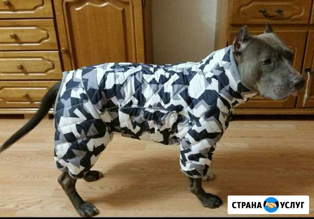 Комбинезоны для собак на заказ Набережные Челны - изображение 1
