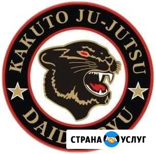 Набор в группы джиу-джитсу Хабаровск - изображение 1
