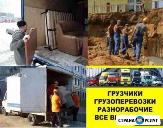 Профессиональные грузчики,Грузоперевозки Братск