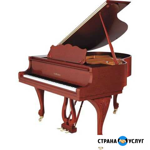 Ремонт музыкальных инструментов и продажа Липецк - изображение 1