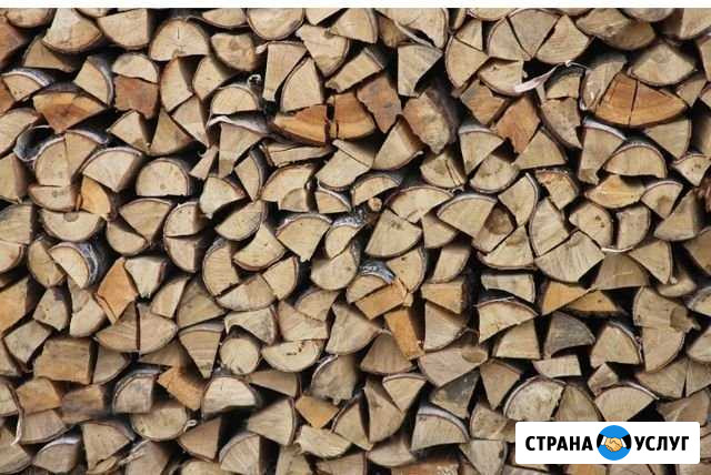 Дрова Вязьма - изображение 1
