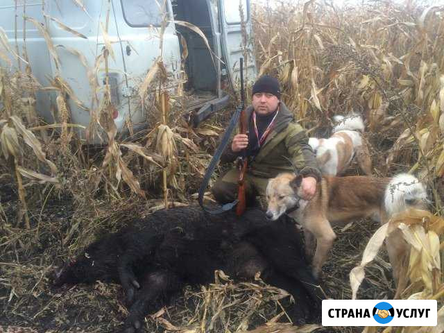Вязка зсл зверовой Чистополь - изображение 1