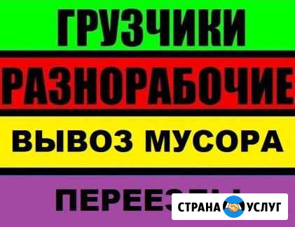 Грузчики Переезды Вывоз мусора Разнорабочие Дзержинск - изображение 1
