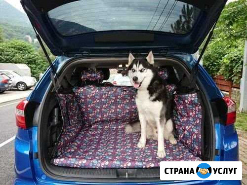 Шью Автогамаки для перевозки собак в автомобиле Лыткарино - изображение 1