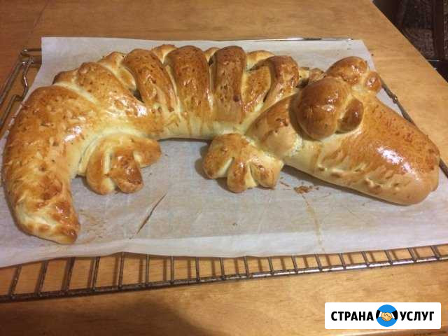 Пирог крокодил в Колпино Колпино - изображение 1
