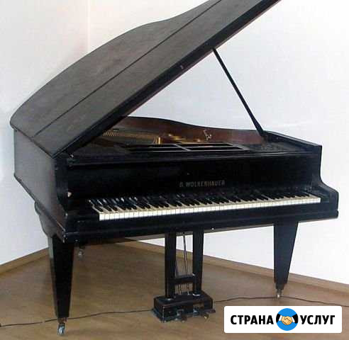 Репетитор по музыке Анапа - изображение 1