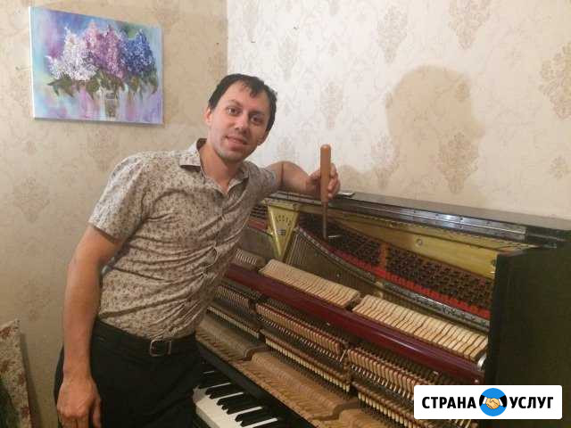 Настройщик (настройка) пианино, фортепиано, рояля Краснодар - изображение 1