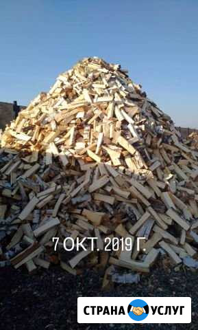 Продам Дрова Минусинск - изображение 1