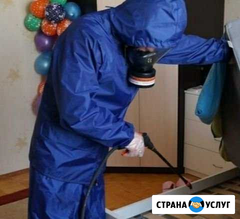 Клопы блохи тараканы клопы Пермь - изображение 1