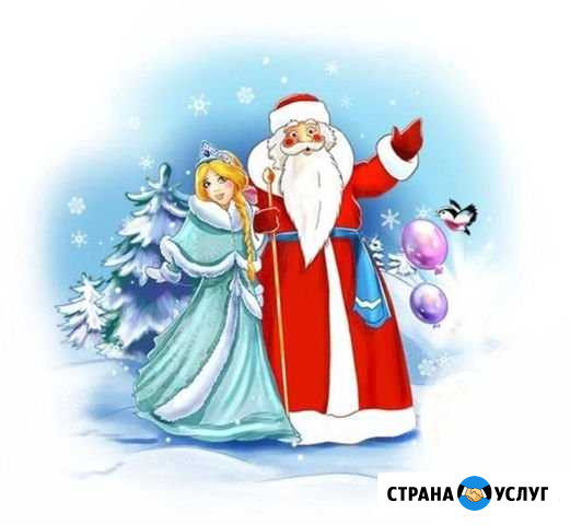 Дед Мороз и Снегурочка Троицк - изображение 1