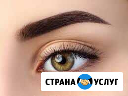 Бровист Ярославль - изображение 1