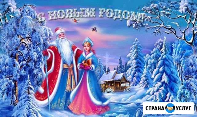Поздравление от деда Мороза и Снегурочки Железногорск - изображение 1