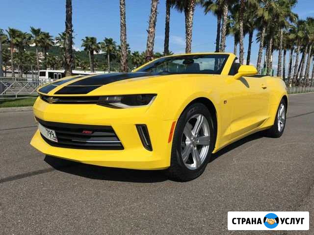 Прокат аренда кабриолета Chevrolet Camaro Сочи - изображение 1