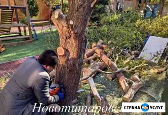 Спил деревьев Новотитаровская