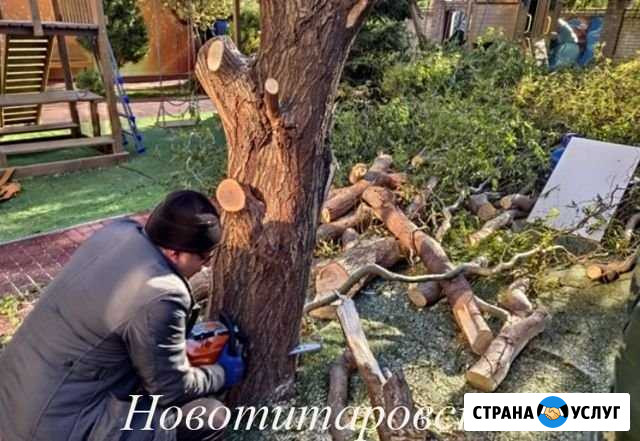 Спил деревьев Новотитаровская - изображение 1