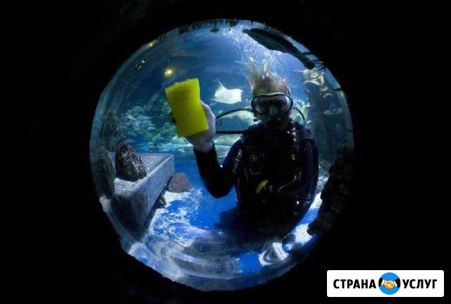 Обслуживание, чистка аквариума Красноярск - изображение 1