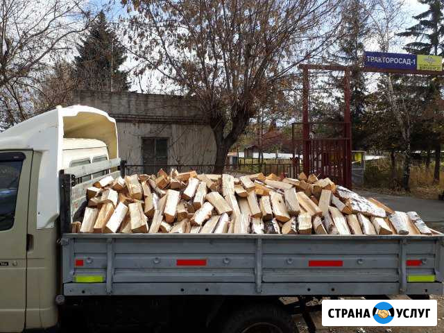 Дрова берёзовые Челябинск - изображение 1