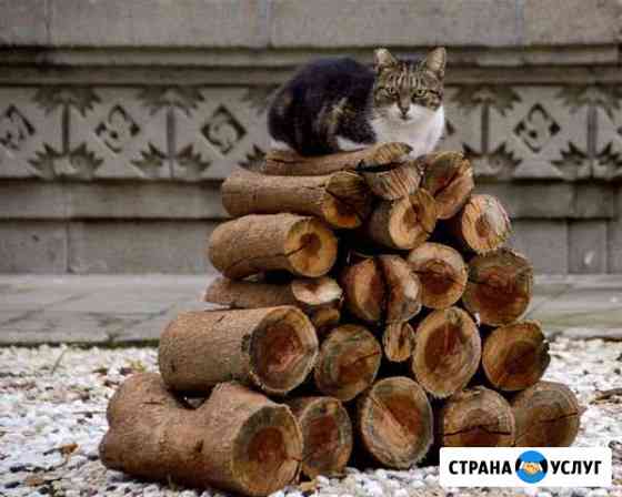 Дрова Сысерть